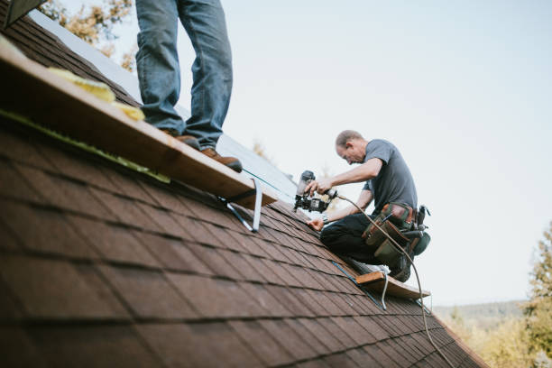 Best Roof Gutter Cleaning  in Brandermill, VA